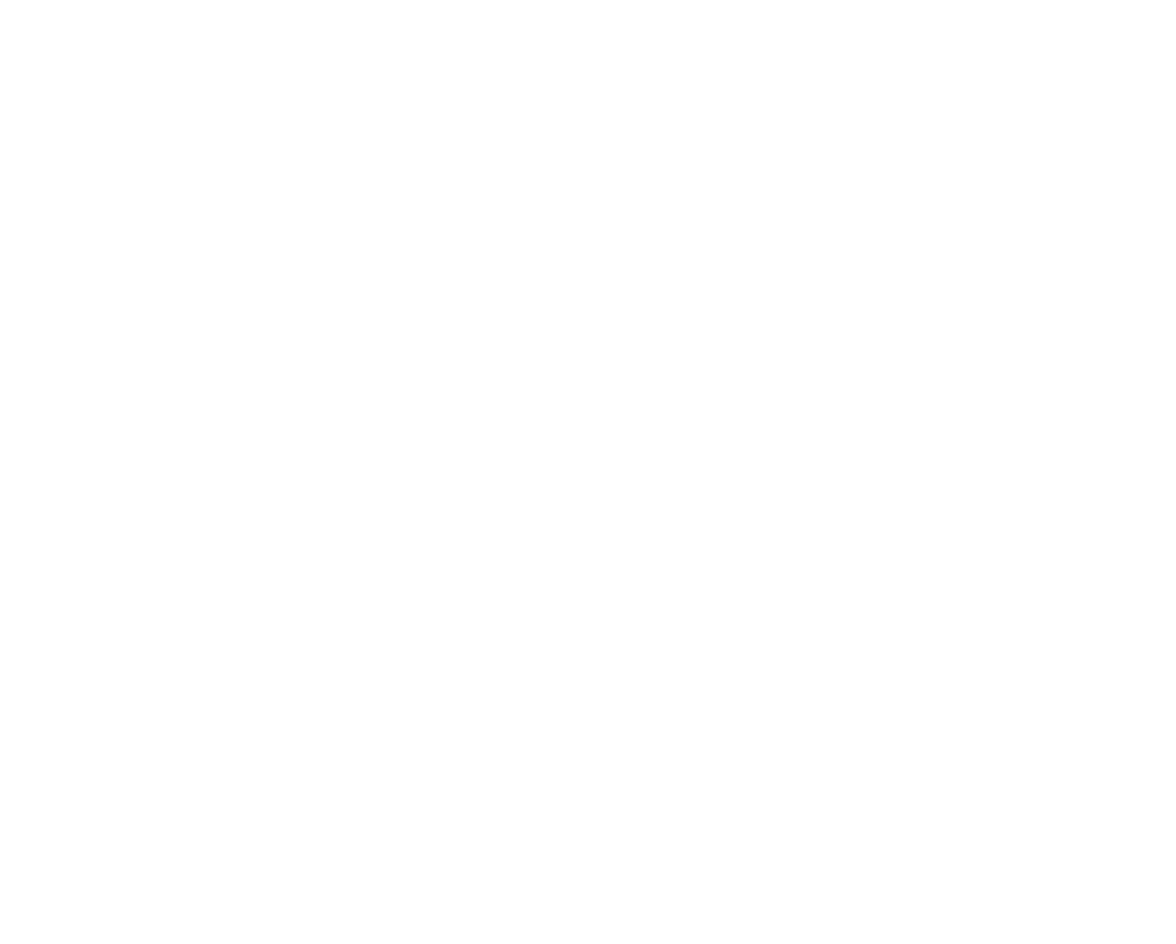 Labornetzteil pcb